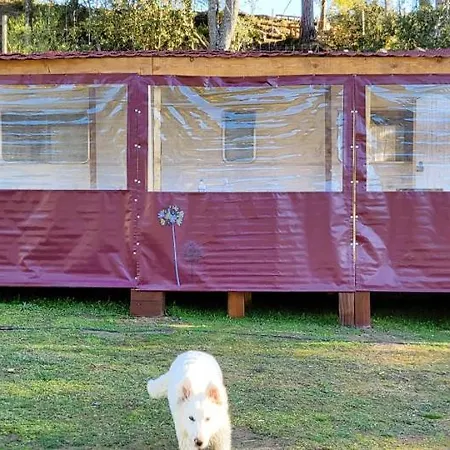 Bungalow D'Une Chambre Avec Piscine Partagee Jardin Clos Et Wifi A Gavignano 度假居 莫罗萨利亚